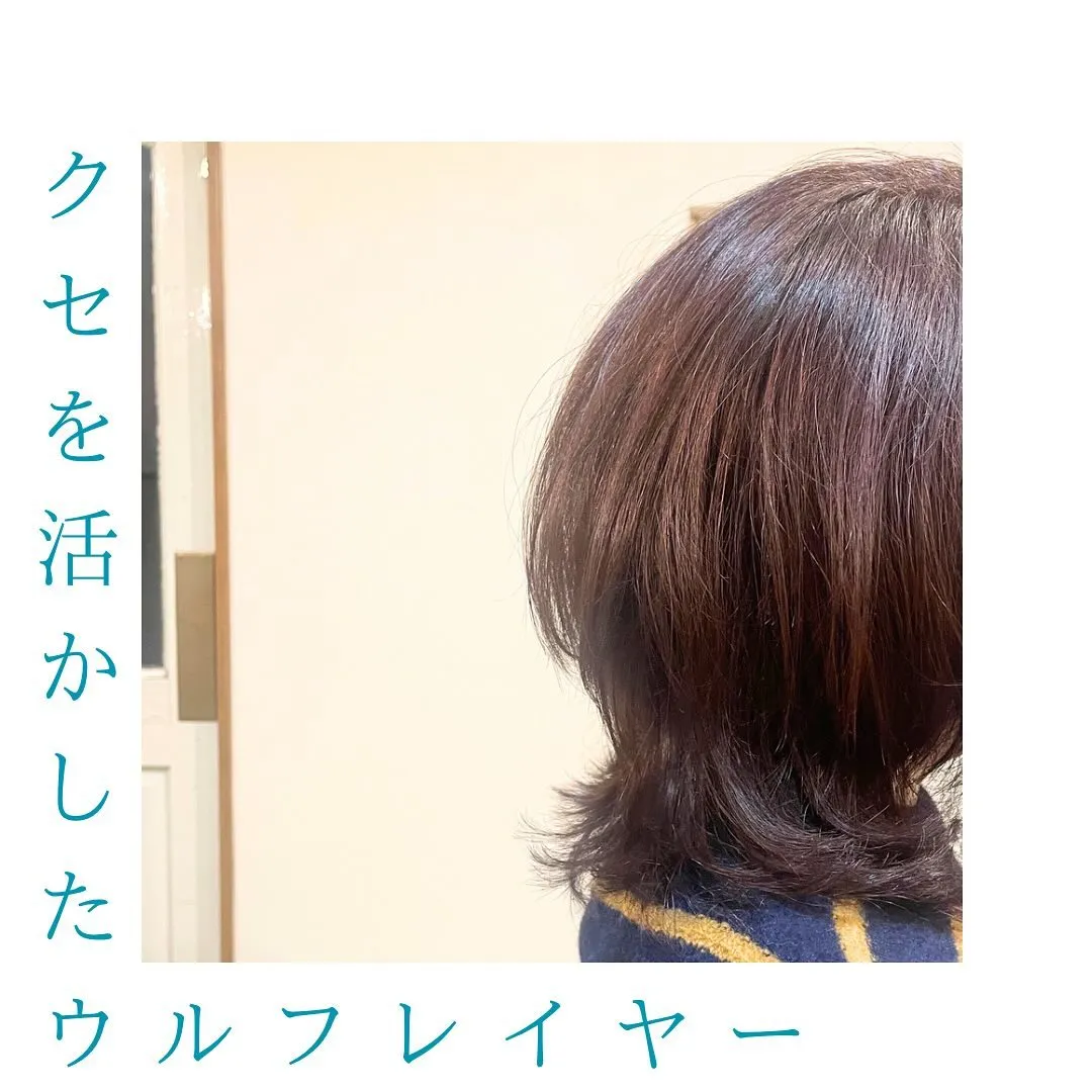くせ毛を活かしたウルフレイヤー