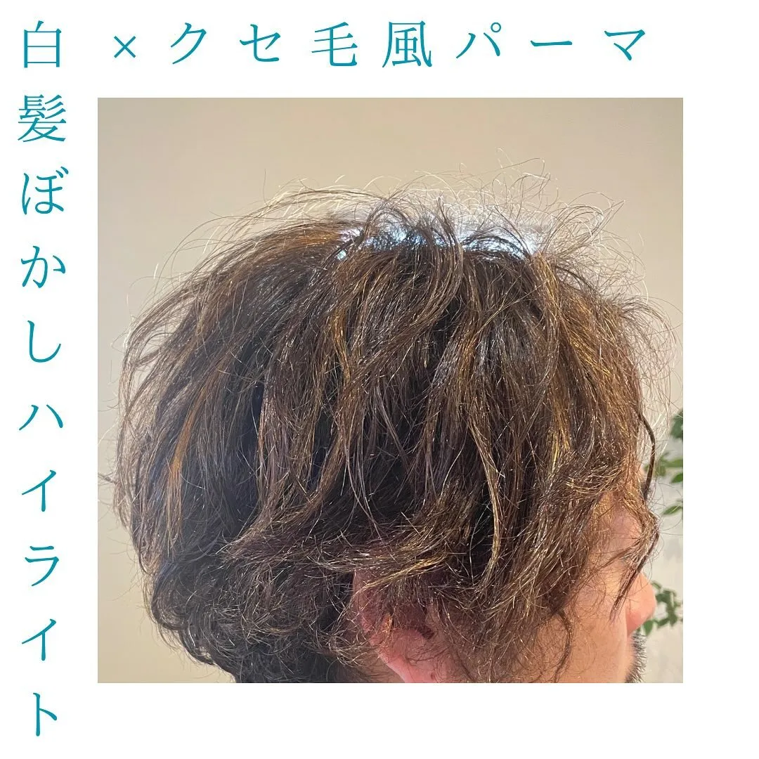 メンズパーマ　+　ハイライト